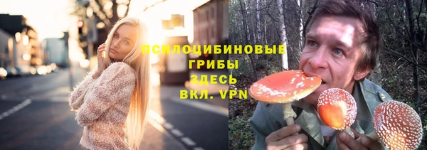 гашик Волосово