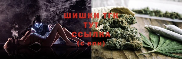 стаф Корсаков