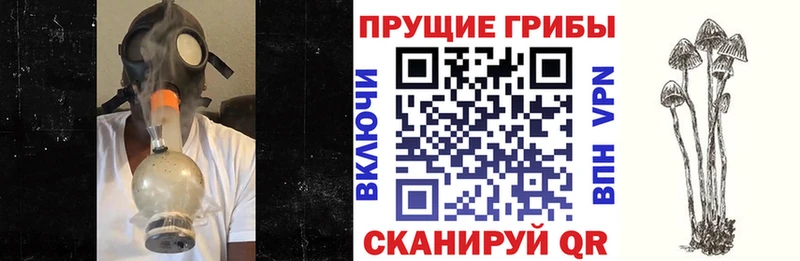 Галлюциногенные грибы Psilocybine cubensis  закладки  kraken ССЫЛКА  Володарск 